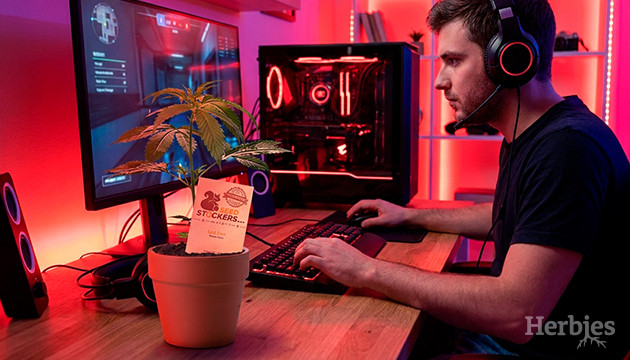 Best games for the end of days buy seedstockers strains