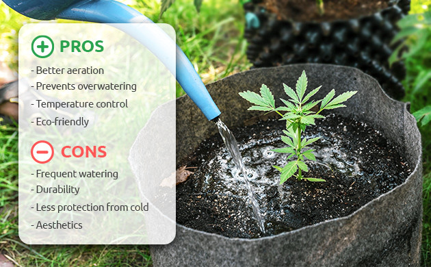 Grow Bags: the Pros and Cons