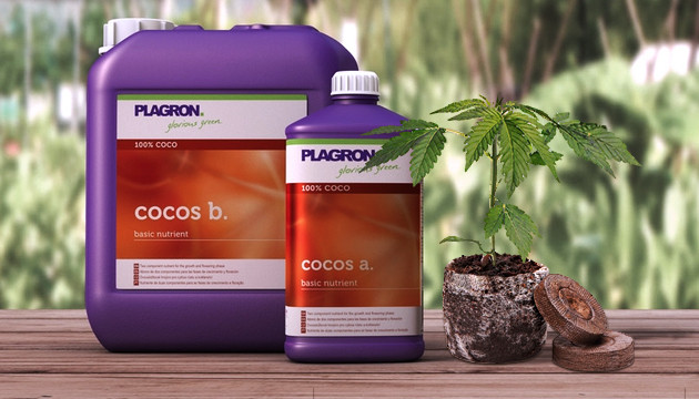 plagron cocos