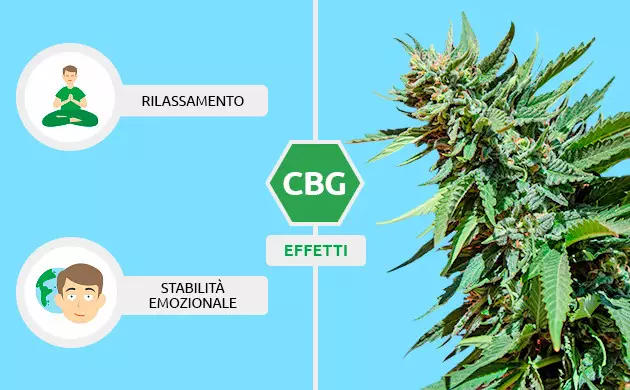 cbg