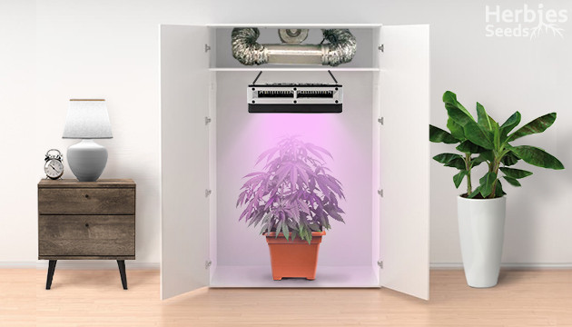 closet grow