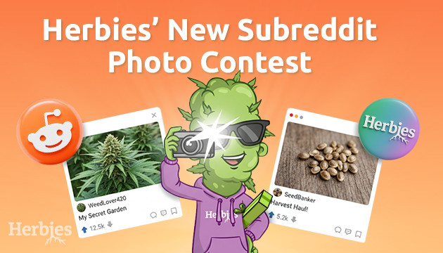 Join Our New Reddit Photo Contest join our new reddit photo contest