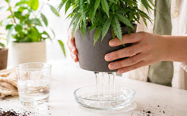 how to fix nutrient lockout