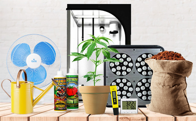 faire pousser du cannabis en interieur