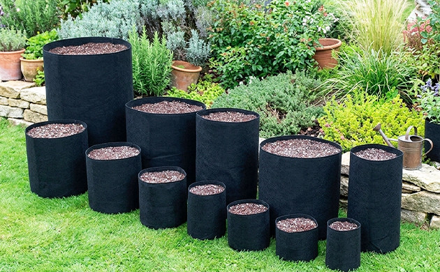 how much does it cost to start growing weed
