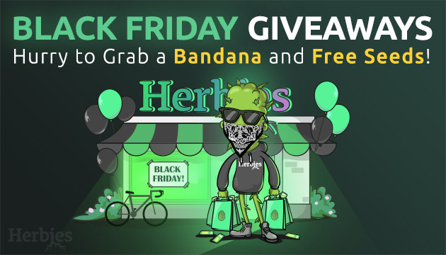 herbies launches black friday giveaway