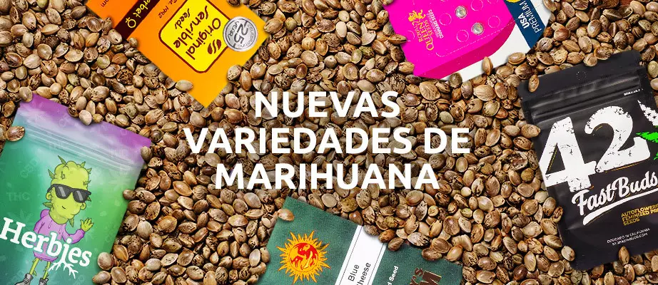 nuevas variedades de marihuana