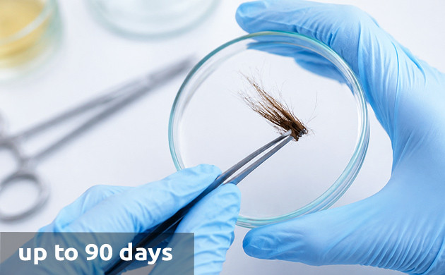 how long does thc stay in your hair
