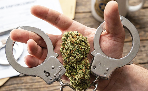 Myth: marijuana causes crime facts about marijuana