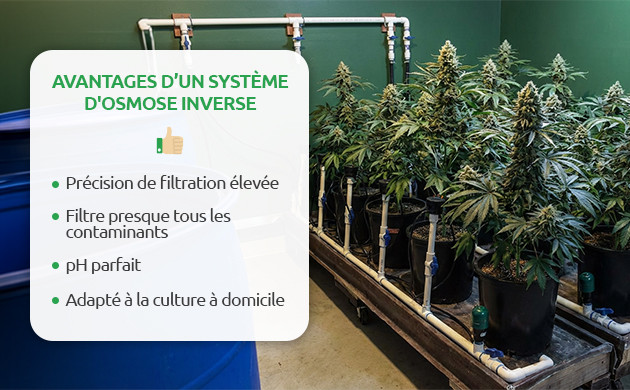 L’eau par osmose inverse est-elle bonne pour les plantes ? l’eau par osmose inverse est-elle bonne pour les plantes ?