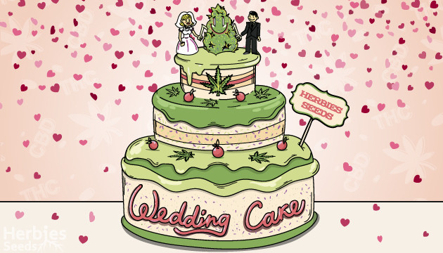 Información sobre las cepas Wedding Cake: cultivo, sabores, efectos y más