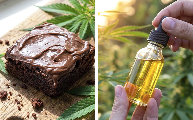 Myth: raw marijuana can make you high facts about marijuana