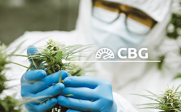 cbg vs cbd