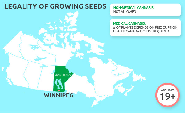 can you grow cannabis in winnipeg