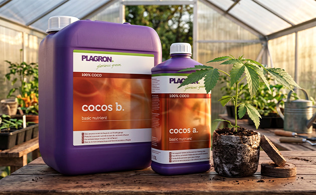 plagron cocos