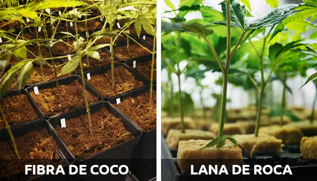 Mejores nutrientes para la hierba