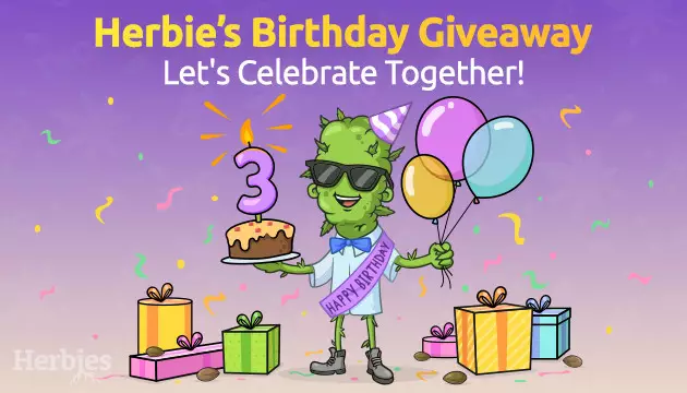 herbies birthday party begins