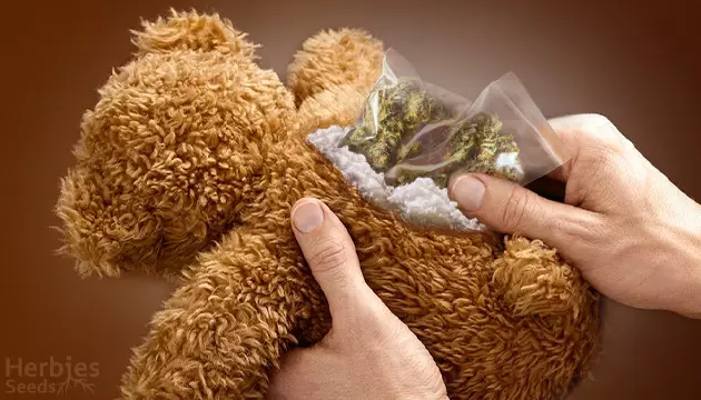 Top 10 Smart Places To Hide Weed