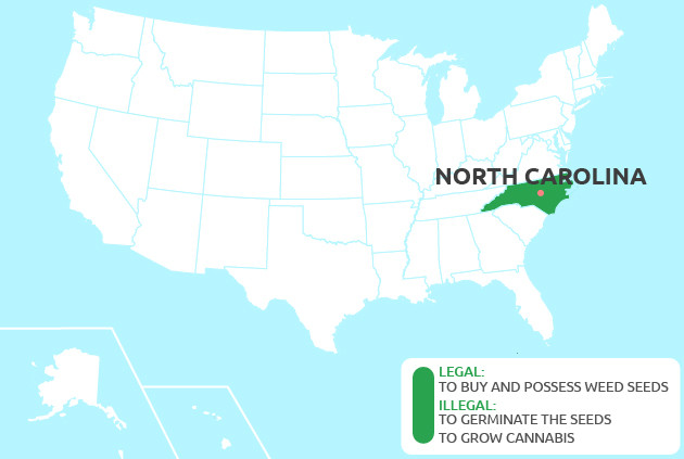 cannabis seeds in North Carolina