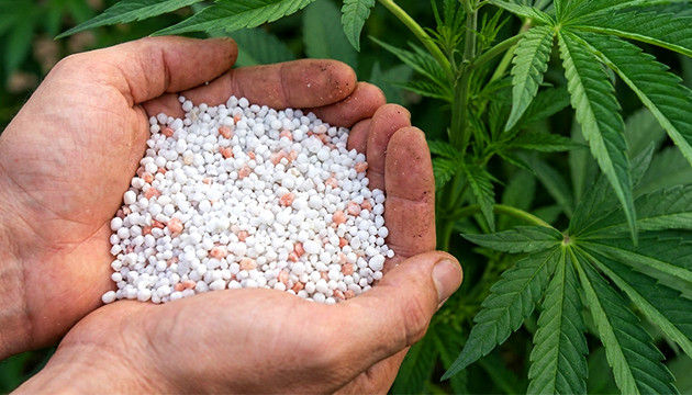 nutrients for growing weed