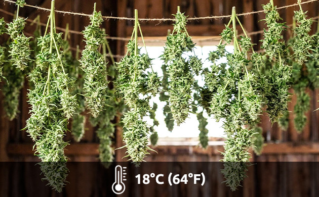 étapes de séchage et de curing