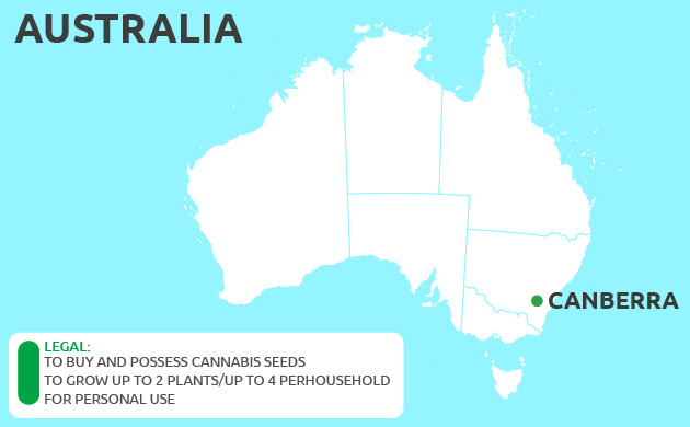 Can You Grow Cannabis in Canberra