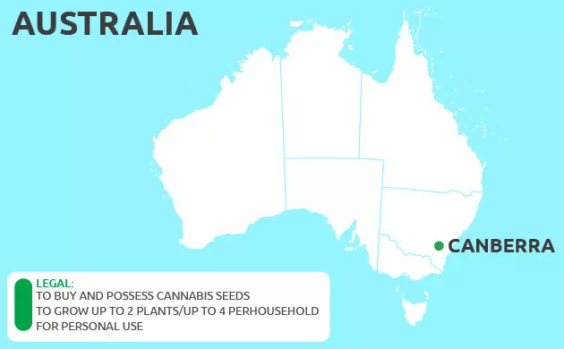 Can You Grow Cannabis in Canberra