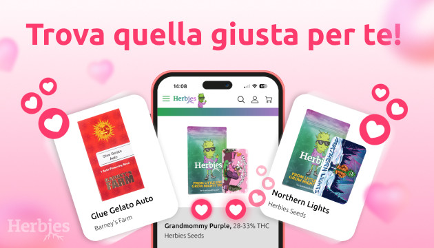 celebra il giorno di san valentino con herbies