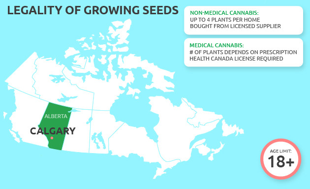 purchase marijuana seeds in calgary