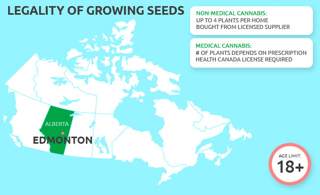 buy cannabis seeds in edmonton