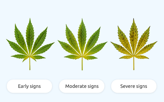 signs and symptoms