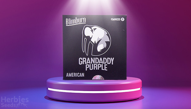 your favorite Granddaddy Purple is back in stock