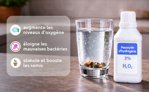 avantages du peroxyde d'hydrogène pour la germination des graines