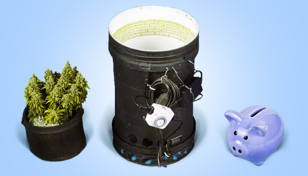 space bucket weed