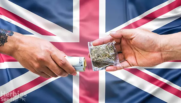 is it legal to buy cannabis seeds in the uk