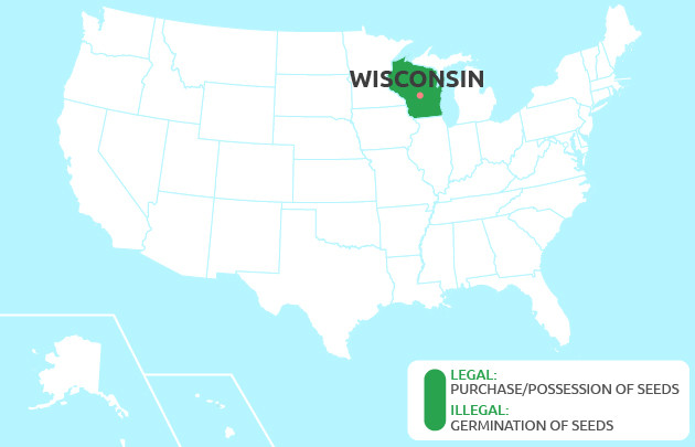 growing cannabis in Wisconsin