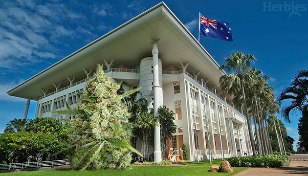 Cannabis Seeds in Darwin