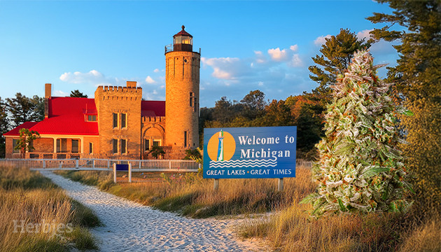 cannabis seeds in michigan