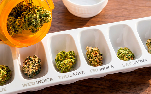 Sativa vs Indica for pain sativa cbd vs indica cbd