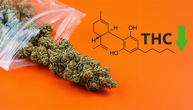 Niveles más bajos de THC niveles mas bajos de thc