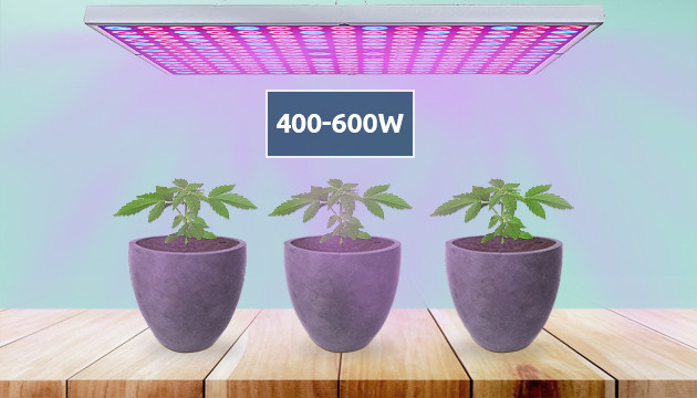 how many plants per grow light