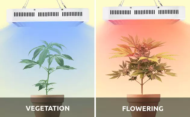 full spectrum led grow lights