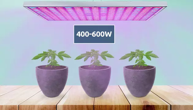 Luces de cultivo
