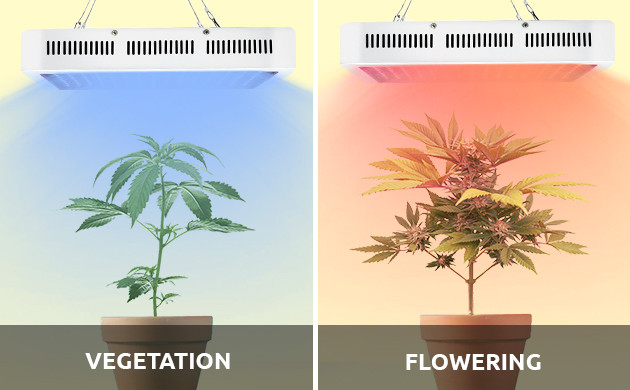 marijuana grow light