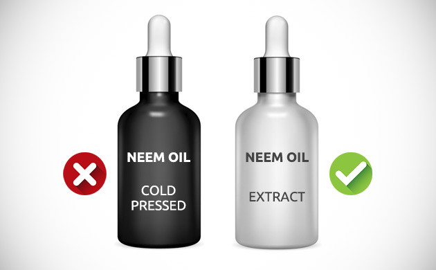 combien de temps dure l'huile de neem