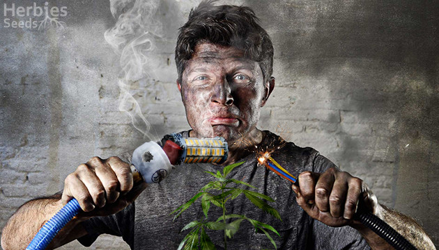 led grow light for cannabis