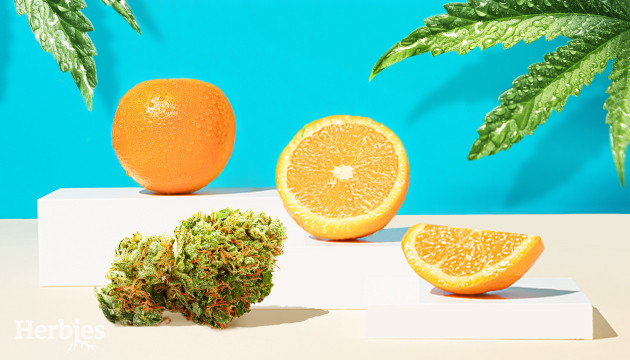 varietes de cannabis a la saveur dorange