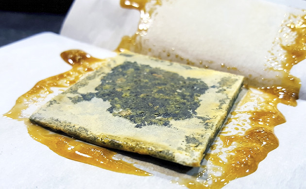 Kief hash kief thc percentage