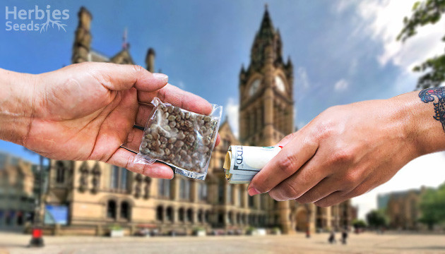 cannabis seeds in Manchester