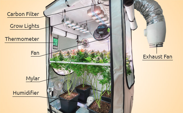 indoor grow room